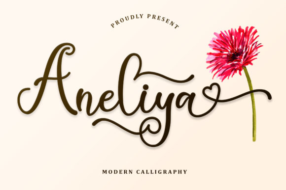 Aneliya Font: A Web Designer’s Review