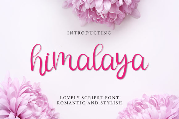 Elevate Your Brand with the Himalya Script Font