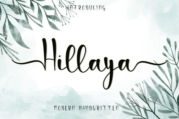 Hillaya Font Review: Elevating Web Design with Elegant Script