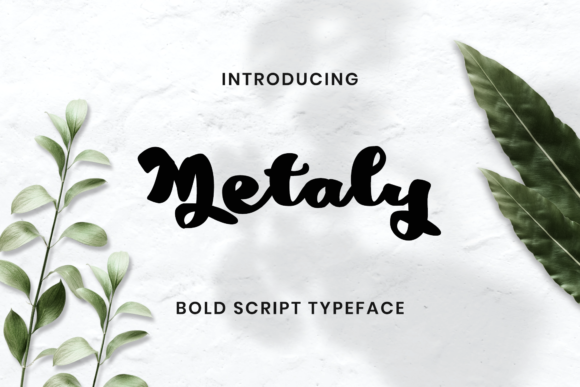 Metaly: A Dazzling Script Typeface for Modern Web Design