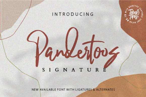 Pandertoos: A Delicate Script Font for Modern Web Design