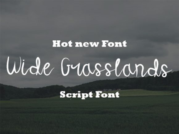 Wide Grasslands: A Delicate Script Typeface for Editorial Design